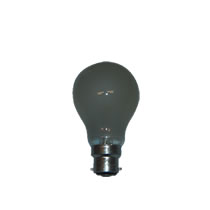 110v Bulbs 110v Bulbs