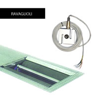 Replacement Spare Electrical Parts for Ravaglioli Roller Brake Testers Replacement Spare Electrical Parts for Ravaglioli Roller Brake Testers