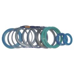 Ram Seal Kit for Ravaglioli 4 Post Lifts