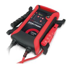 Gigalithium Booster 12/24v 10,000/5,000