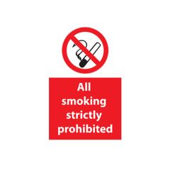 Smoking Prohibited - 400x600mm Plastic