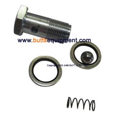 Cylinder Safety Valve Assembly