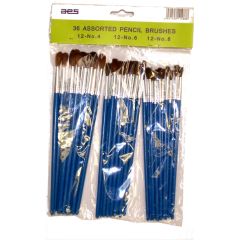 Assorted Touch Up Brushes (36)