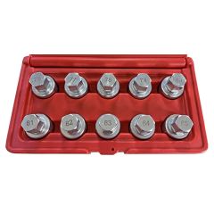 10pcs Locking Wheel Nut Remover TESLA