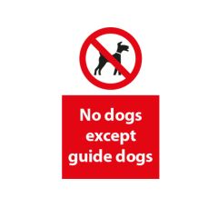 No Dogs Except Guide - 200x300mm Plastic