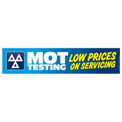 MOT Testing - Low Servicing 3000x600mm