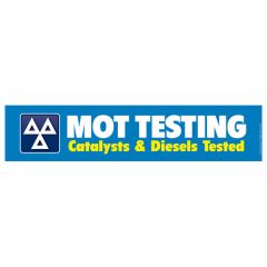 MoT Testing - Cats & Diesels 3000x600mm