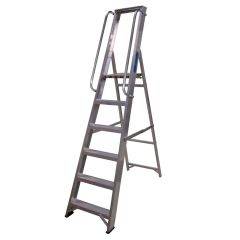 Professional Platform 6 Tread Ladder with handrails both sides