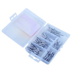 100 Piece Assorted Rivet Set