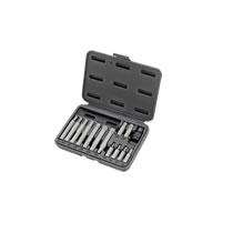 Ribe Bit Sets
